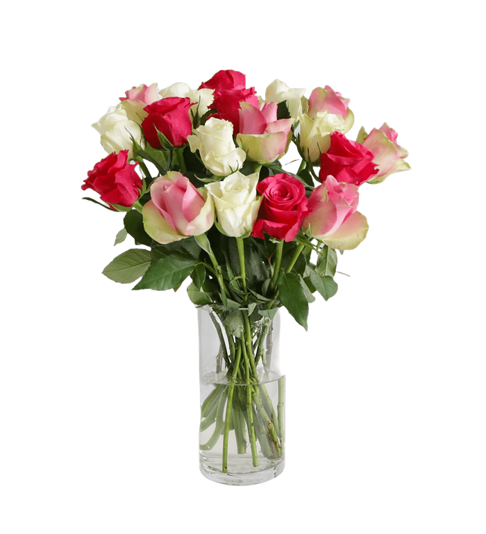 Vazoda Karışık Güller